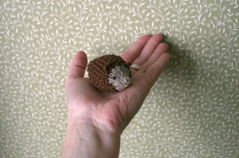 Hedgehog
