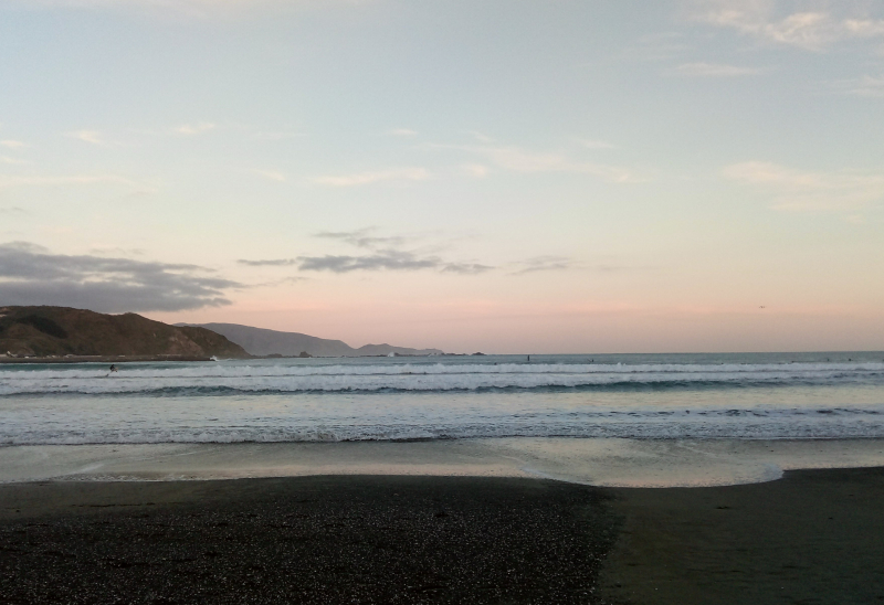 Lyall bay