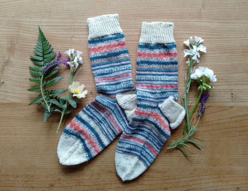 Regia socks