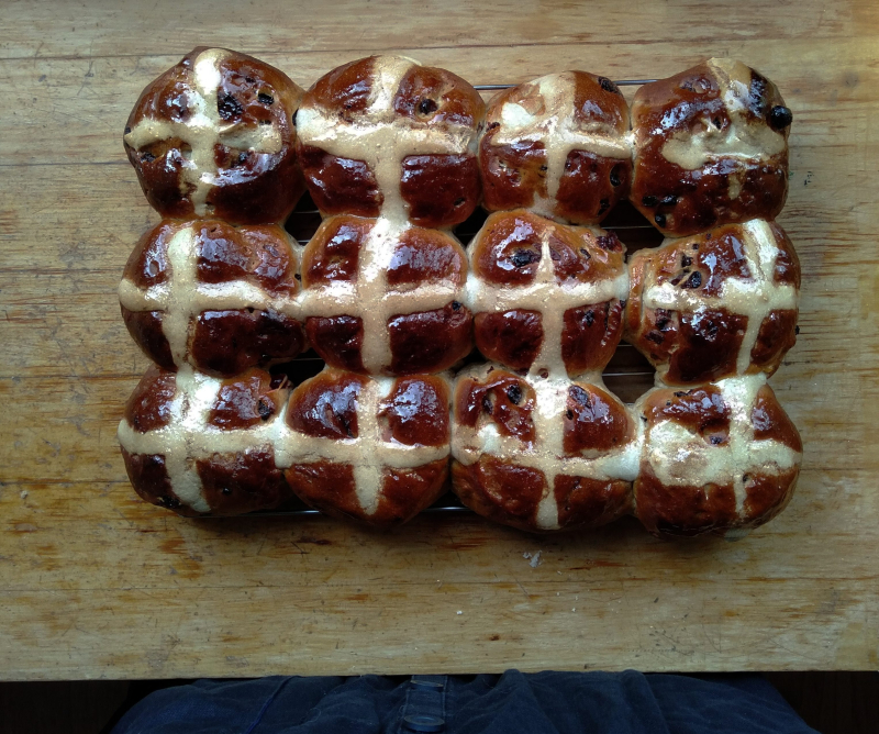 Hot cross buns