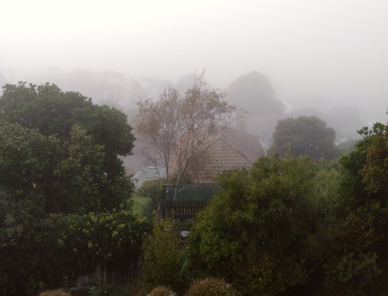 Misty morning
