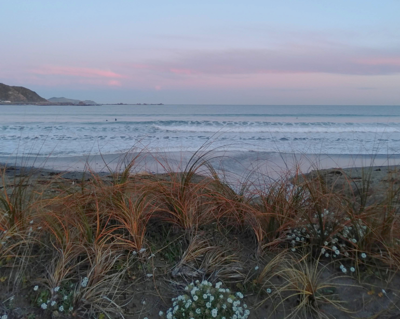 Lyall bay 2