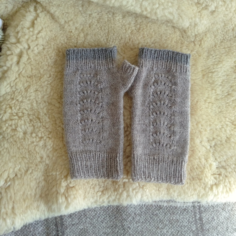 Shell mitts 1