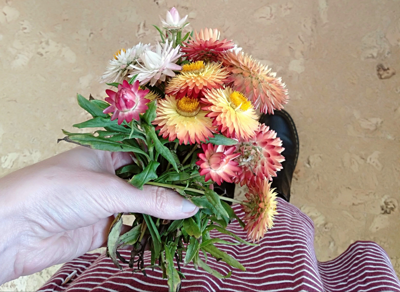 Seb 26 march 2022-7400