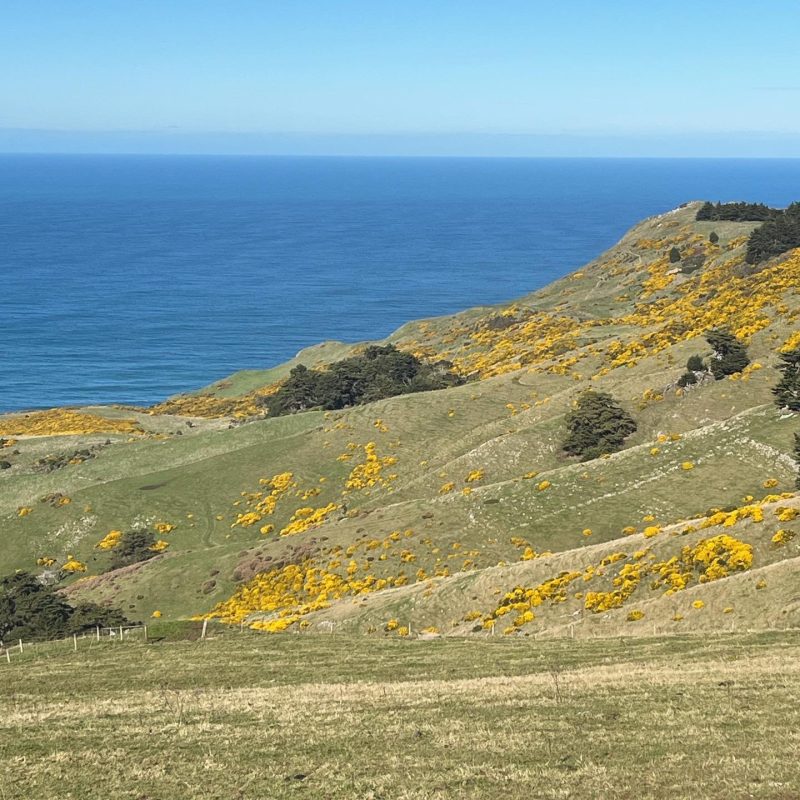 4FCA9381-57C7-4585-A506-A1A05543D94B