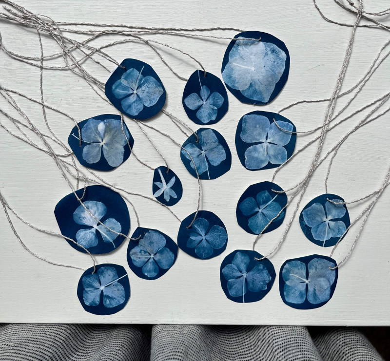 Cyanotype 2 smaller